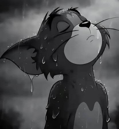TOM